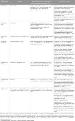 Histone lysine methyltransferase-related neurodevelopmental disorders: current knowledge and saRNA future therapies